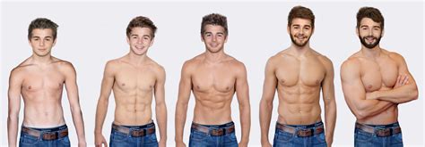 2 cm) and may weigh about 10 ounces. . Stages of abs development pictures male